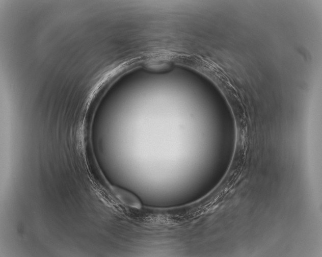 X0000115850244200911131557