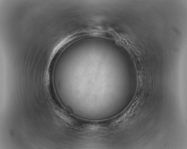 X0000115850246200911131557