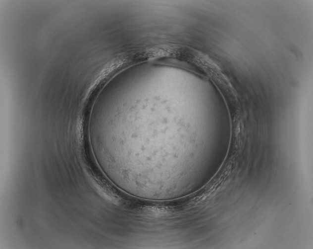 X0000115850250200911131557