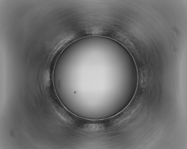 X0000115850251200911131557