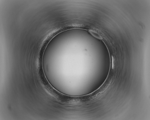 X0000115850252200911131557
