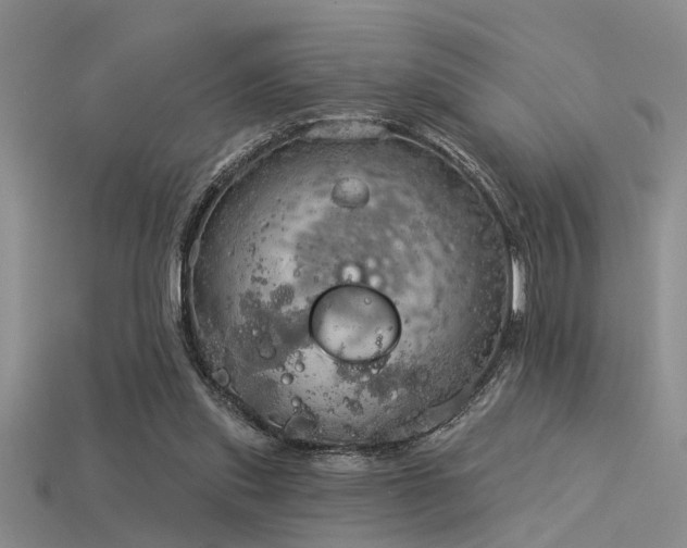 X0000115850253200911131557