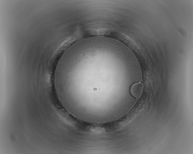 X0000115850258200911131557