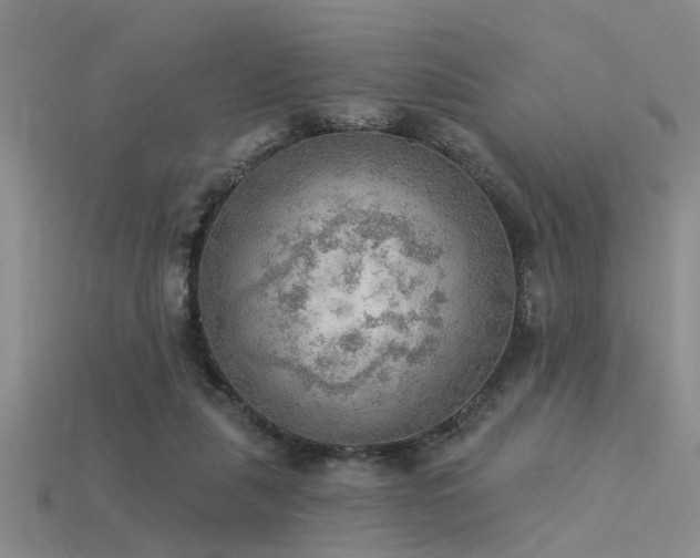 X0000115850259200911131557
