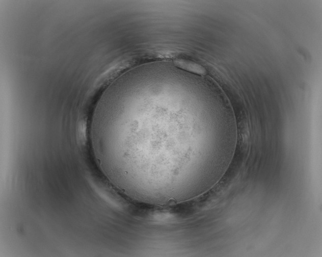 X0000115850262200911131557