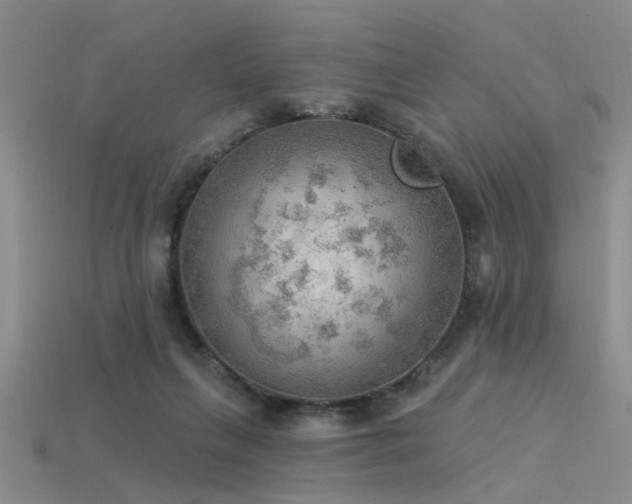 X0000115850263200911131558