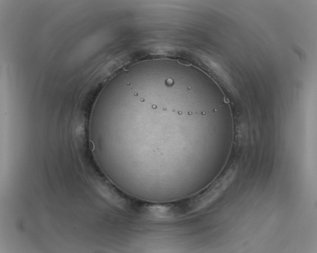 X0000115850265200911131558