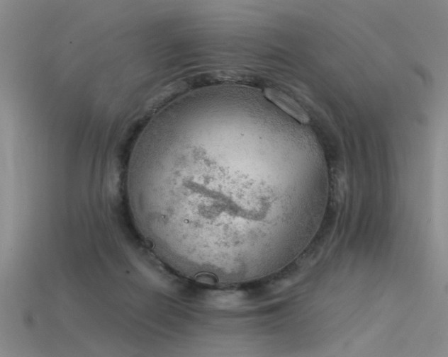 X0000115850266200911131558