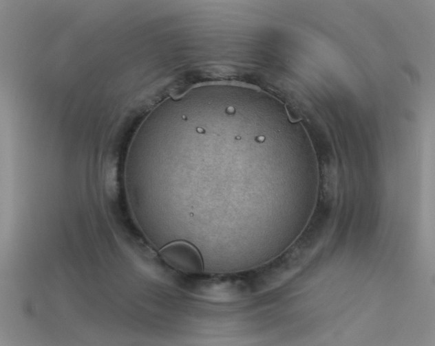 X0000115850267200911131558