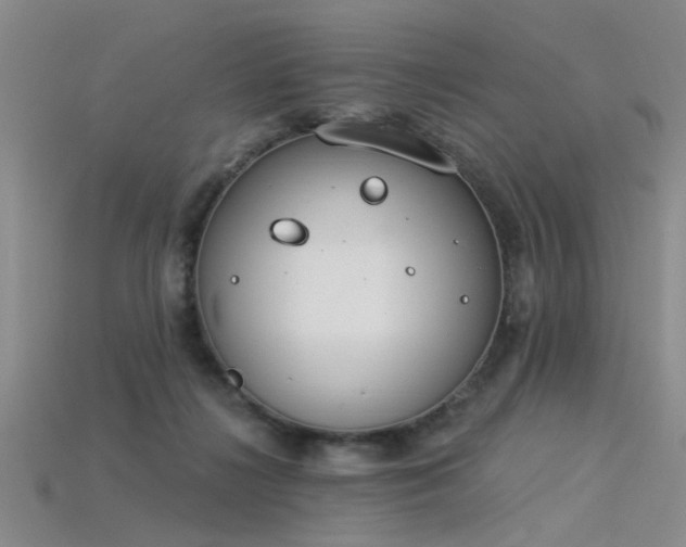 X0000115850268200911131558