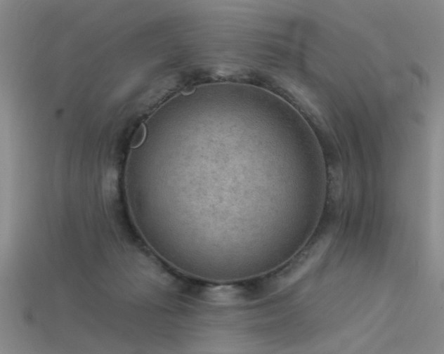 X0000115850269200911131558