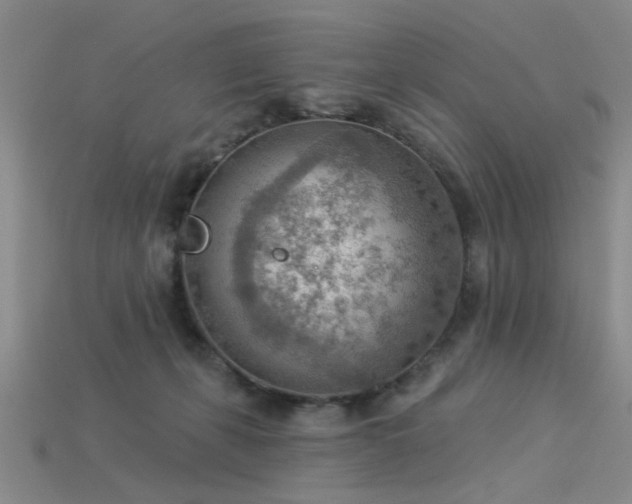 X0000115850271200911131558
