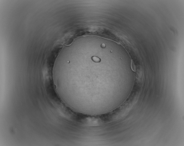 X0000115850272200911131558