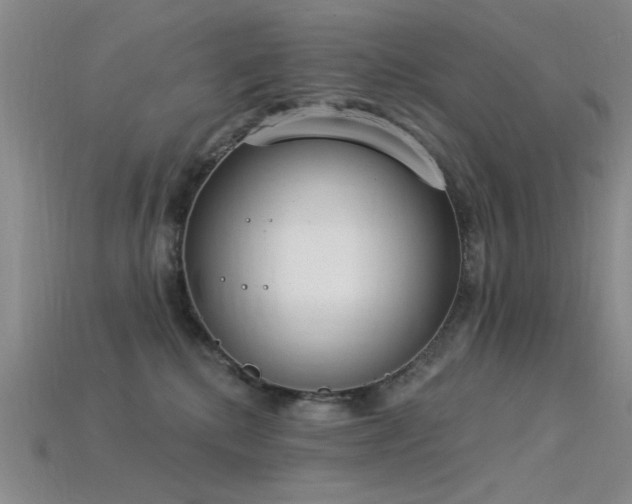 X0000115850280200911131558