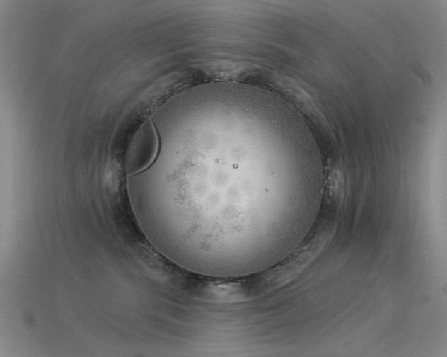 X0000115850283200911131558