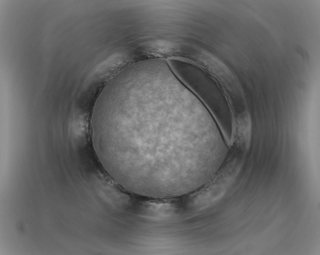 X0000115850284200911131558