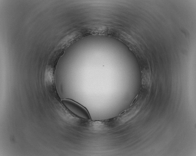 X0000115850287200911131558