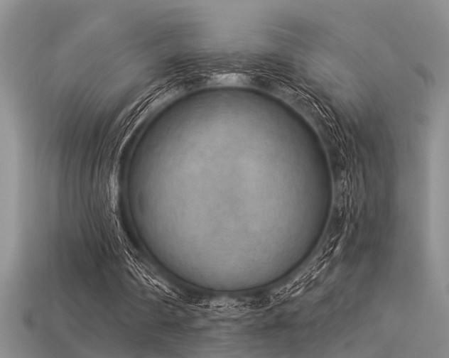 X0000115850290200911131557