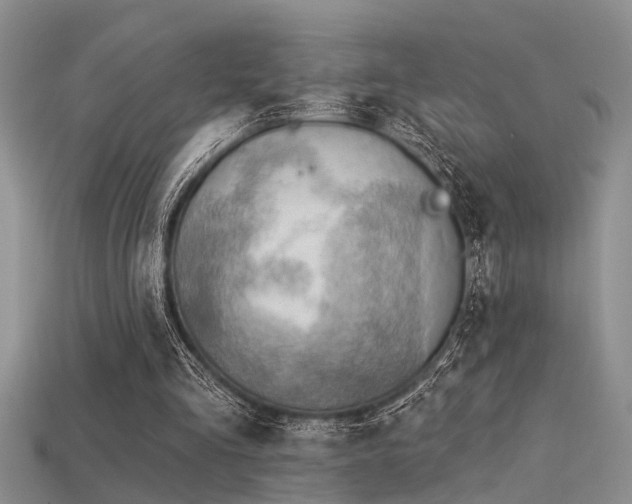 X0000115850293200911131557