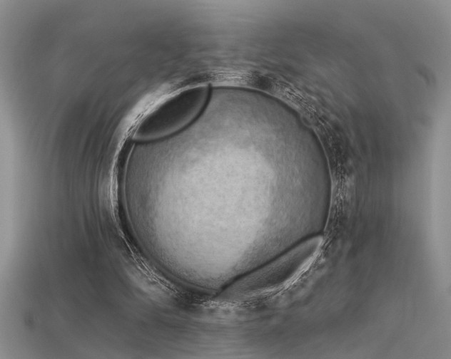 X0000115850294200911131557