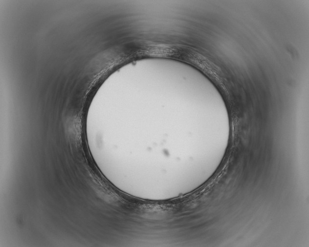 X0000115850297200911131557