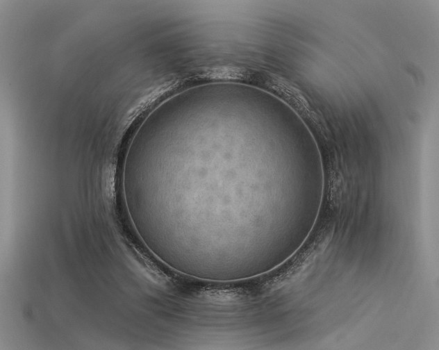 X0000115850299200911131557