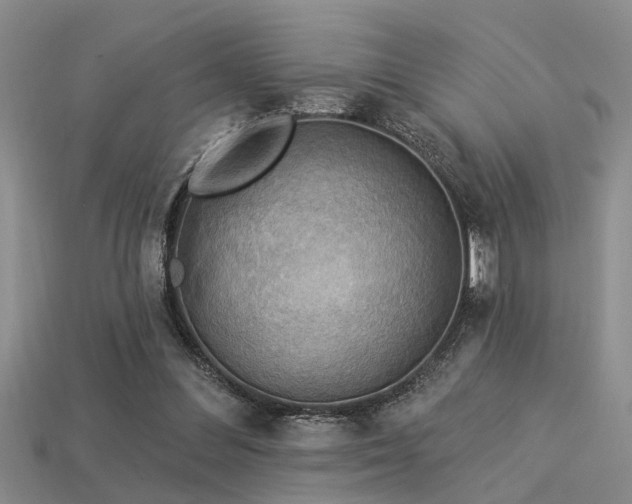 X0000115850300200911131557