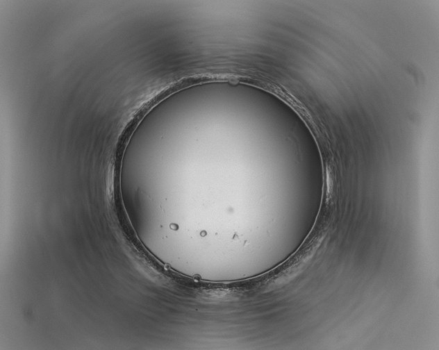 X0000115850301200911131557