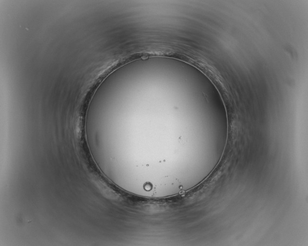 X0000115850305200911131557