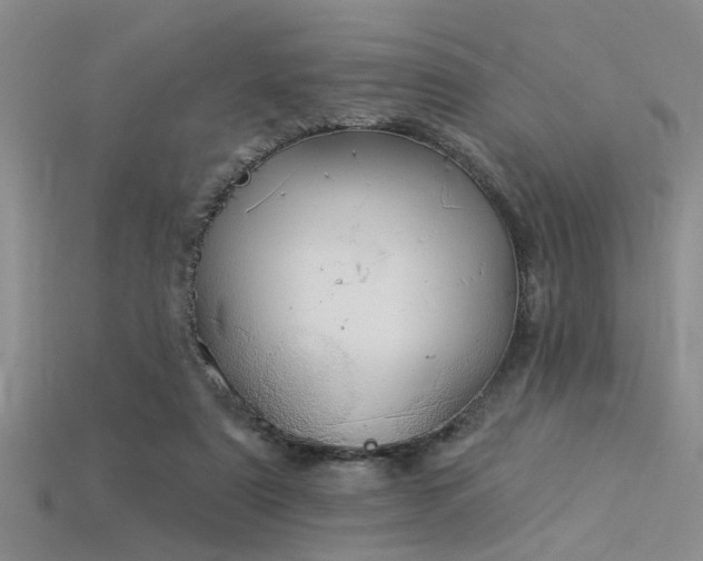 X0000115850307200911131557