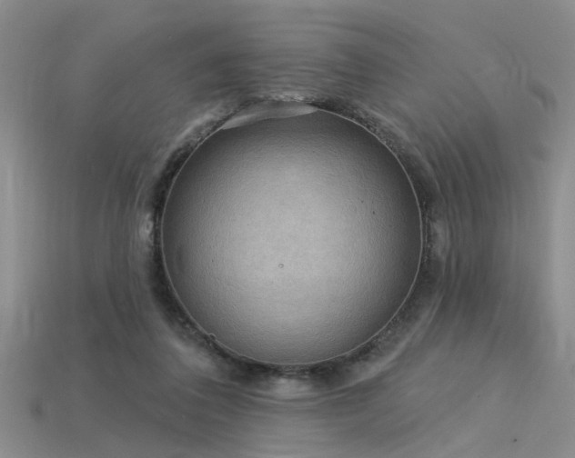 X0000115850308200911131557