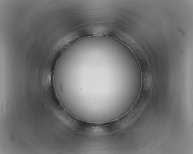 X0000115850310200911131557