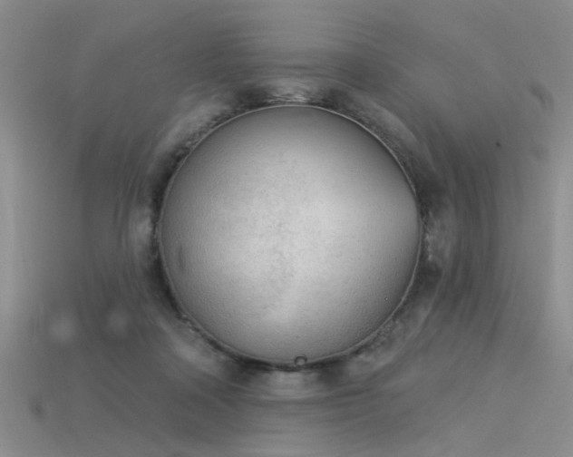 X0000115850314200911131557