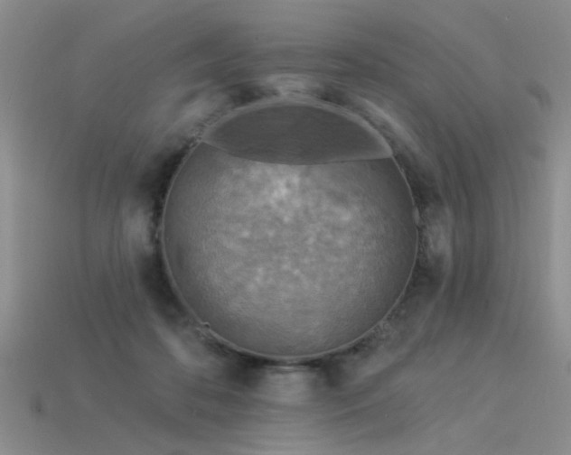 X0000115850316200911131557