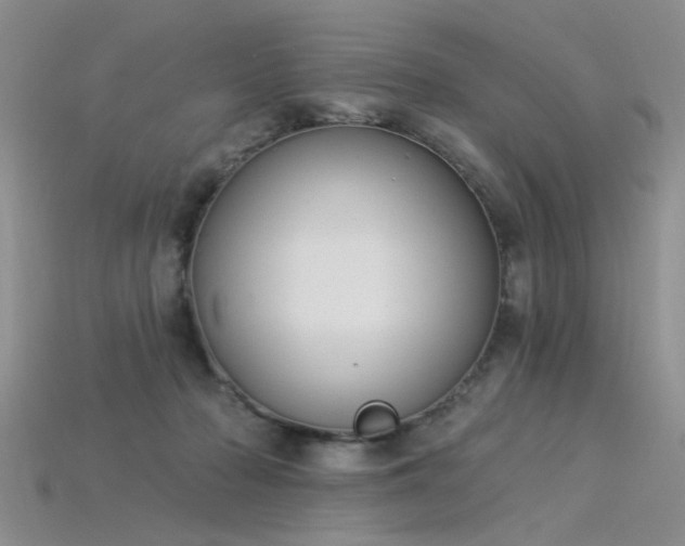 X0000115850318200911131557