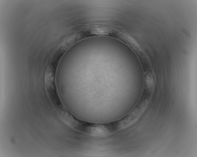 X0000115850322200911131557