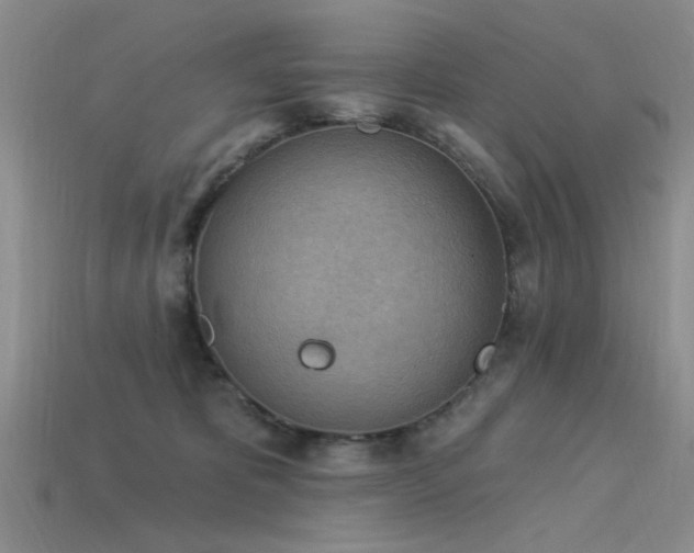 X0000115850325200911131557
