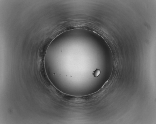 X0000115850327200911131557