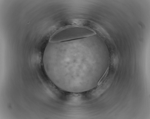 X0000115850328200911131557