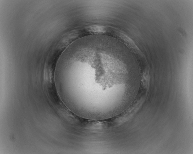 X0000115850330200911131557