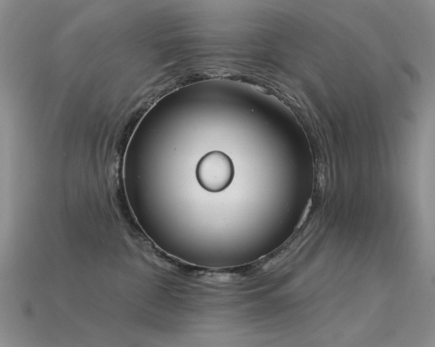 X0000115850332200911131557