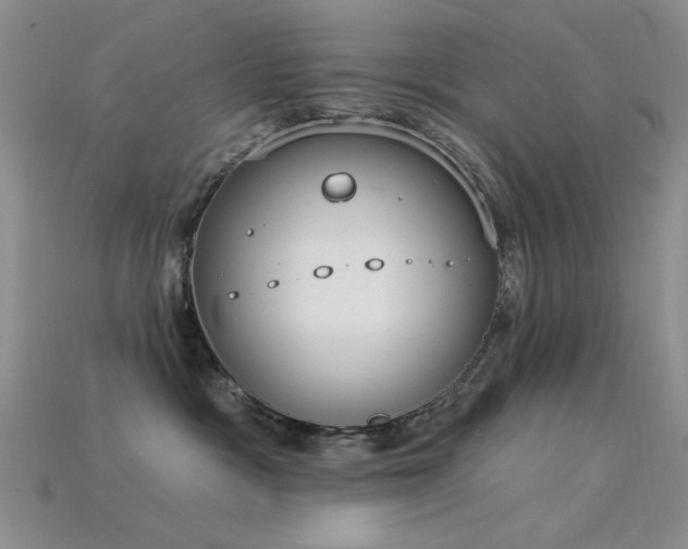 X0000115850333200911131557