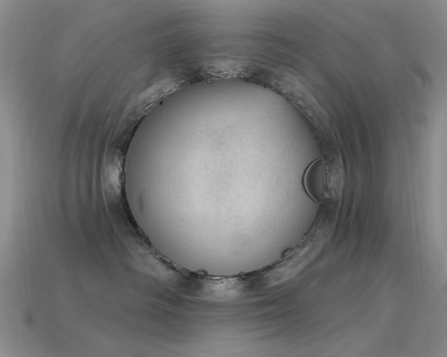 X0000115850334200911131557