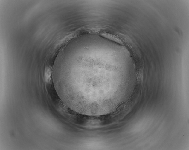 X0000115850335200911131557