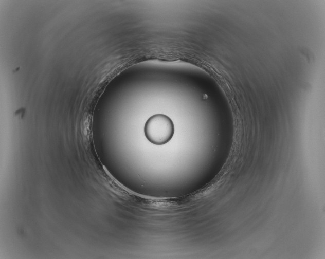 X0000115850336200911131557