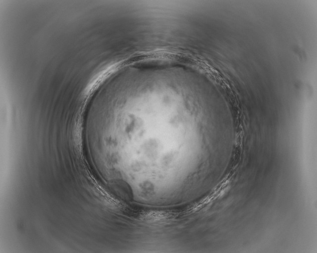X0000115850341200911131556