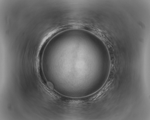 X0000115850342200911131556