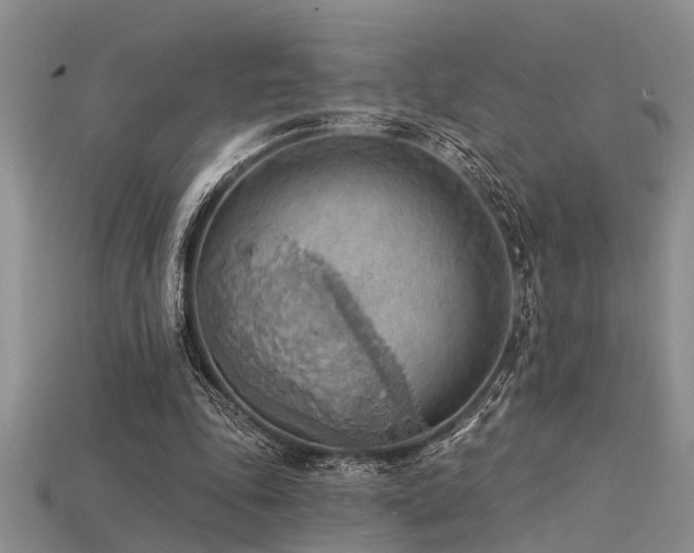 X0000115850343200911131556