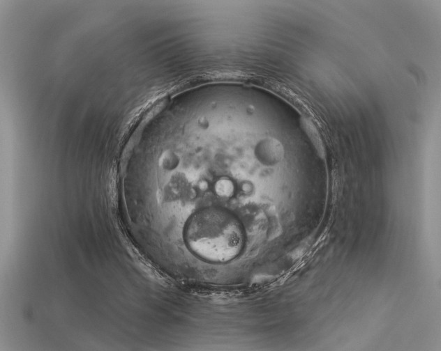 X0000115850345200911131556