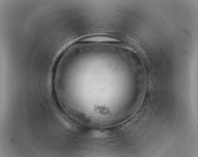 X0000115850346200911131556